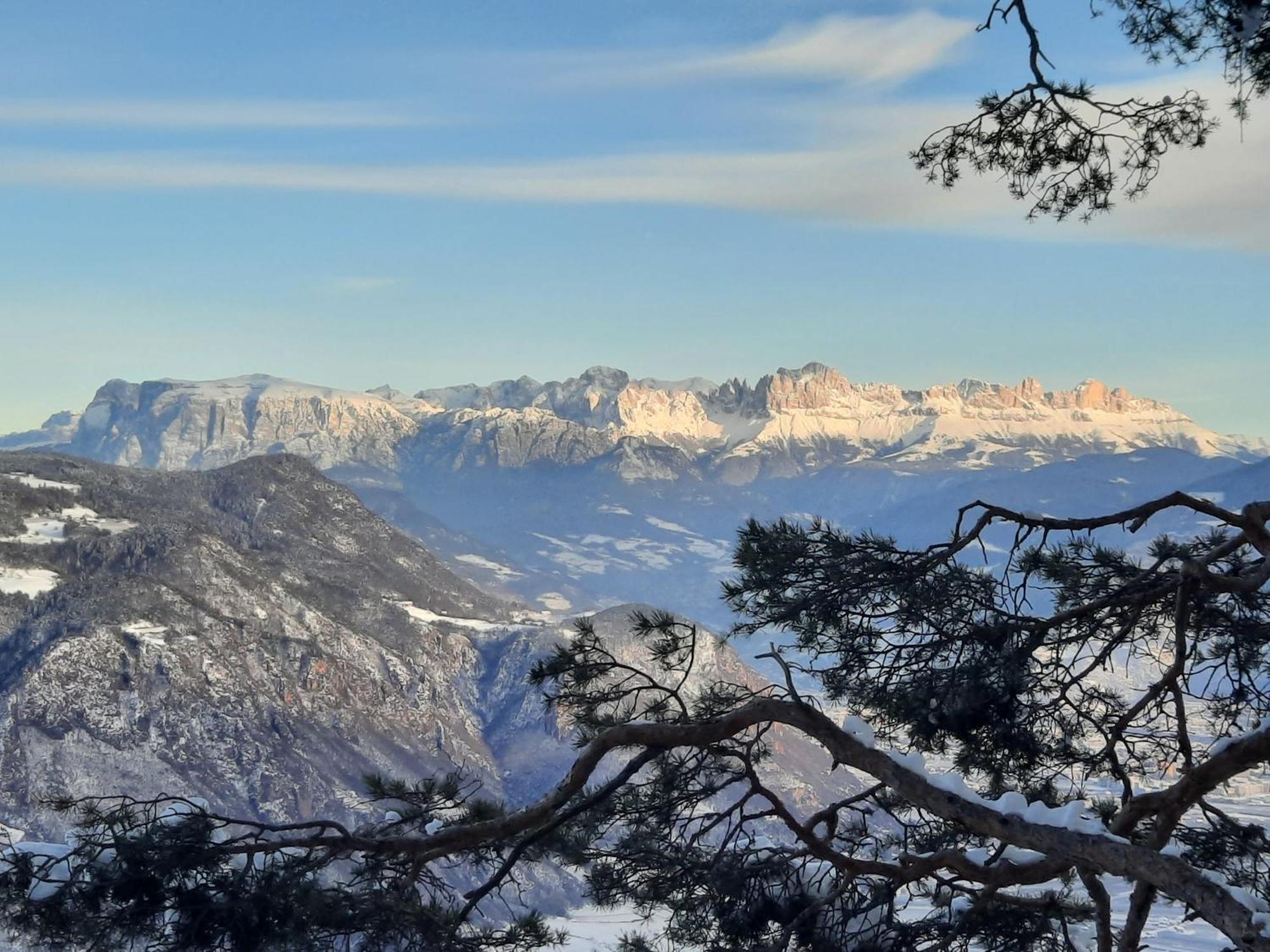 Tinnerhof Eppan an der Weinstraße Exteriör bild