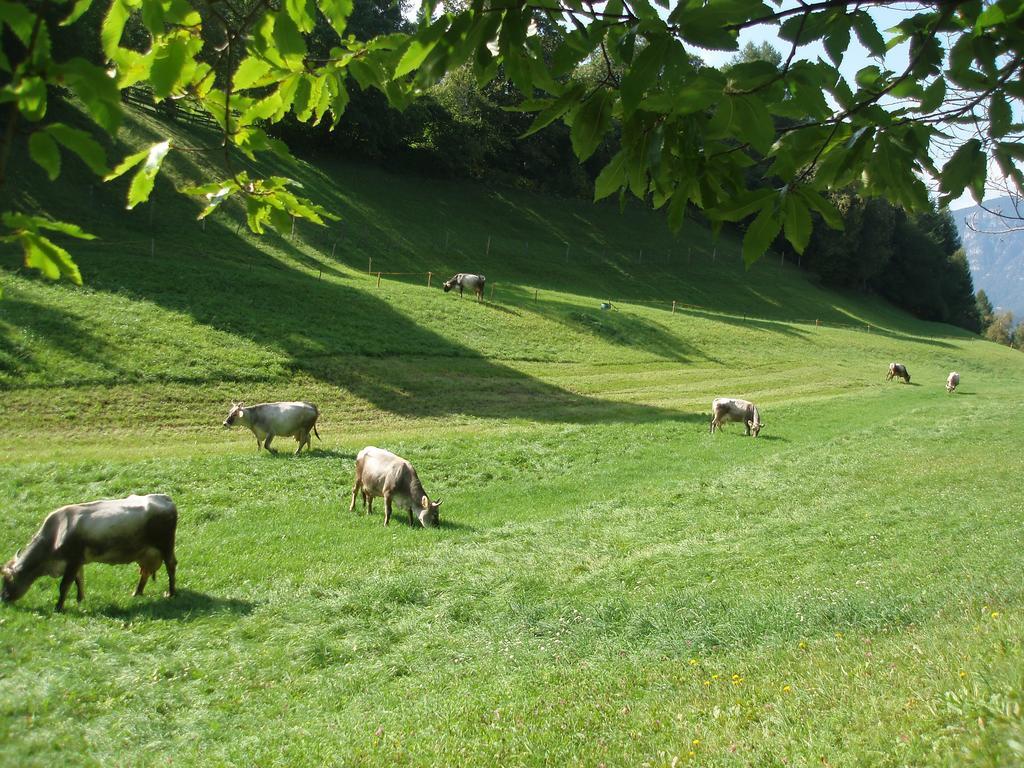 Tinnerhof Eppan an der Weinstraße Exteriör bild