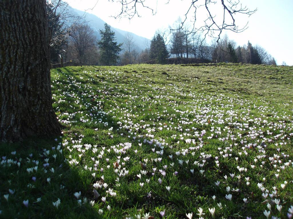 Tinnerhof Eppan an der Weinstraße Exteriör bild