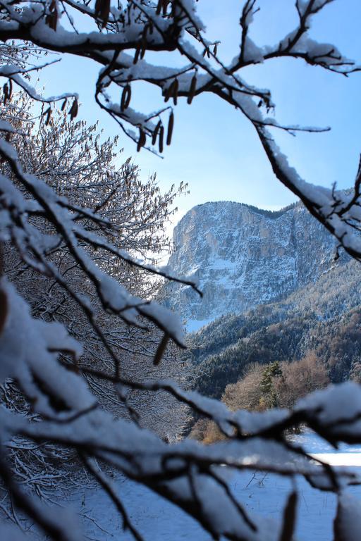 Tinnerhof Eppan an der Weinstraße Exteriör bild
